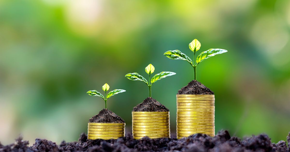 stacks of money ascending in height with green plants sprouting from them